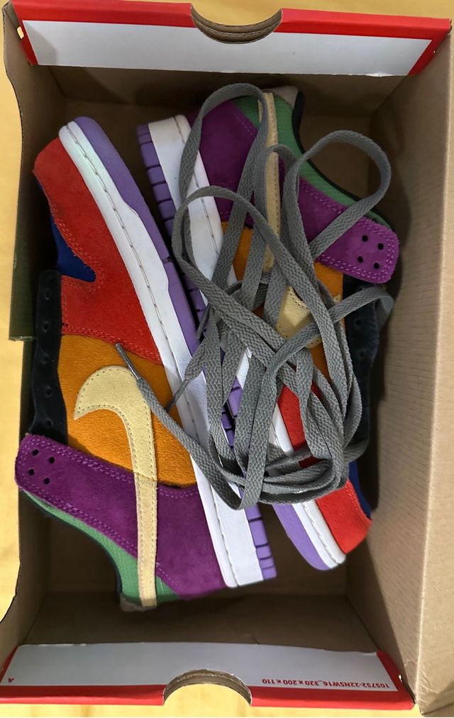 Nike SB Dunk Viotech Multicolor