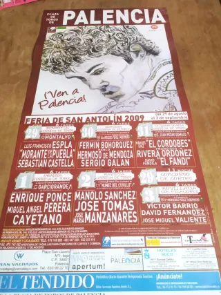 11 Carteles Toros Palencia 2005