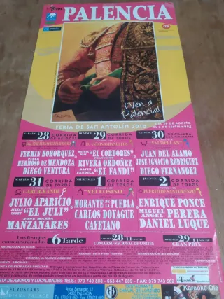 11 Carteles Toros Palencia 2005