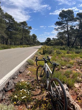 Bicicleta Gravel cannondale carbono.