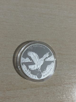 Moneda Plata 1 oz Halcón Peregrino Vida Silvestre