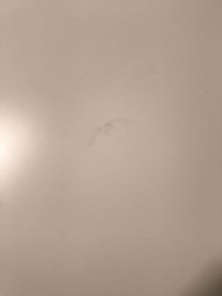 Mesa blanca con caballetes negros