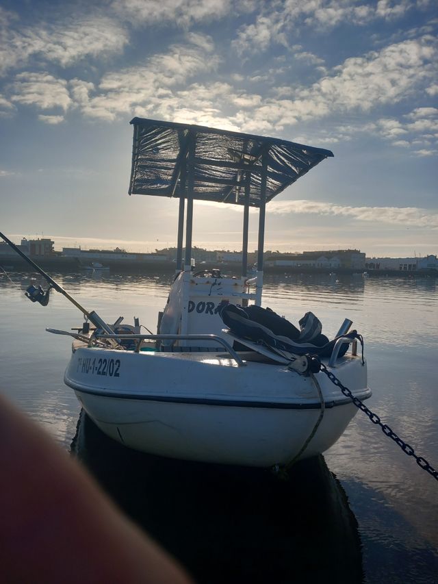 Necesito remolque de 5 metros 