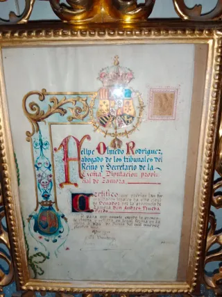 Marco Dorado Cornucopia