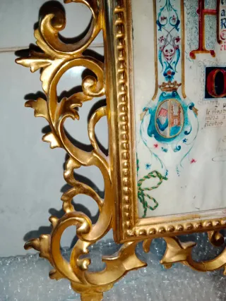 Marco Dorado Cornucopia