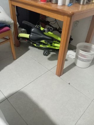 Bicicleta plegable color verde