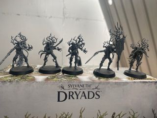 Sylvaneth  Army Warhammer Age Of Sigmar Aos
