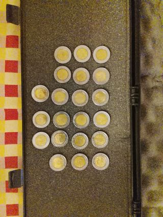 21 Monete da 500 Lire