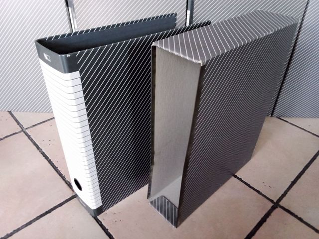 Raccoglitore a leva Esselte Delso L