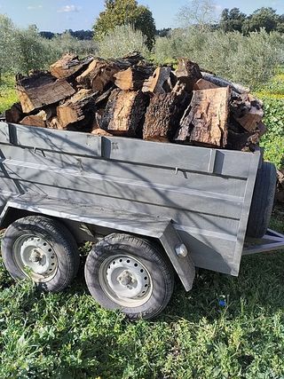 Leña de encina seca para chimenea