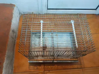Jaula de cría metálica