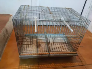 Jaula de cría metálica