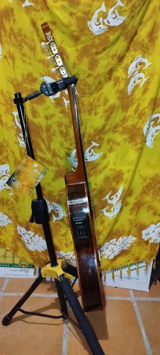 Guitarra Clásica Di Giorgio Brasileña talent II