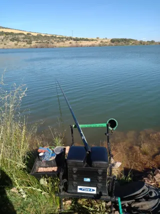 Se venden varios paniers Sensas