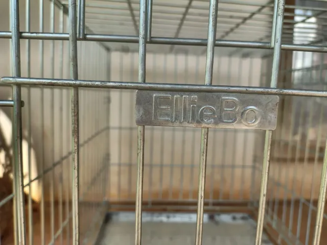 Jaula plegable para perros. NUEVA OFERTON 45€