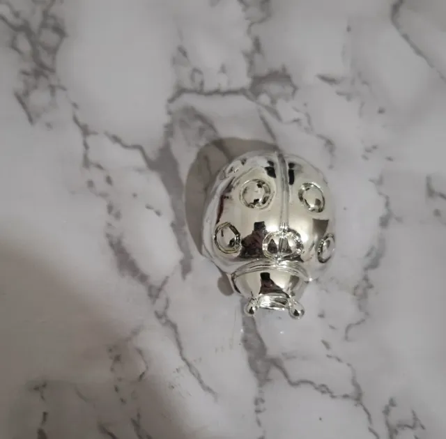 Coccinella portafortuna argento laminato