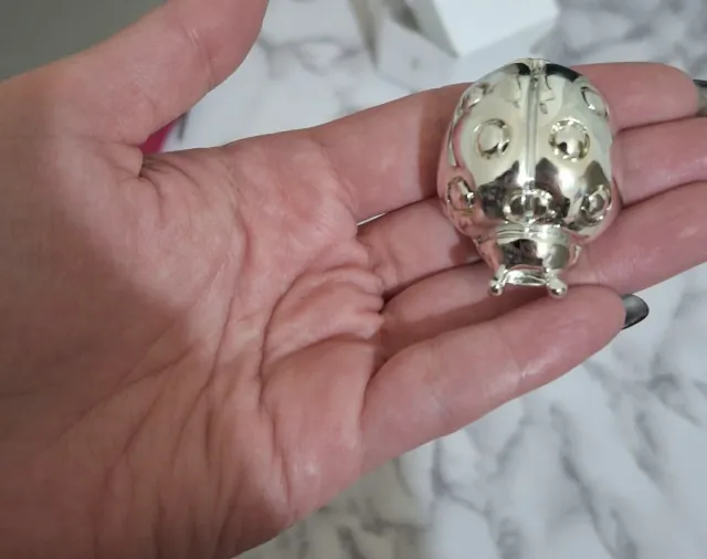 Coccinella portafortuna argento laminato