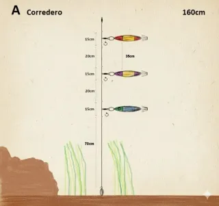 6 Montajes Calamar (Pack x5)