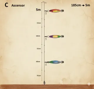 6 Montajes Calamar (Pack x5)