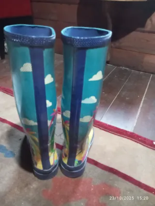 Stivali da pioggia Havaianas multicolor