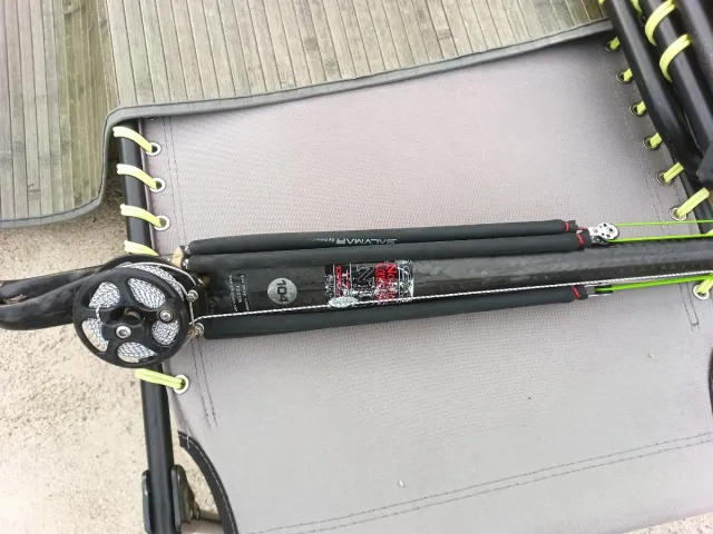 Arbalete C4 Mister Carbon Vela c4