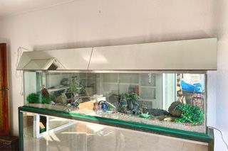 Acuario Grande Pecera +600L