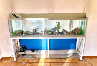 Acuario Grande Pecera +600L