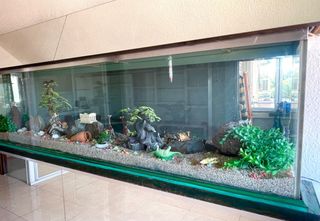 Acuario Grande Pecera +600L