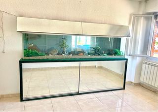 Acuario Grande Pecera +600L