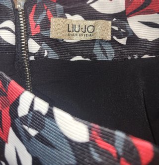 Gonna Liu Jo