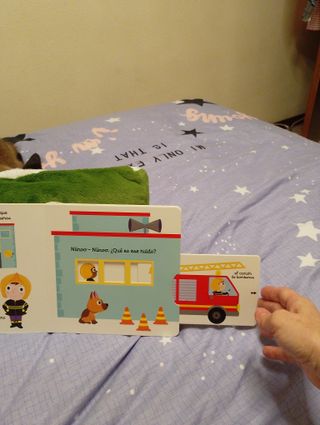 El pequeño libro de los bomberos