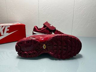 Nike Air Max TN Plus Tiempo 