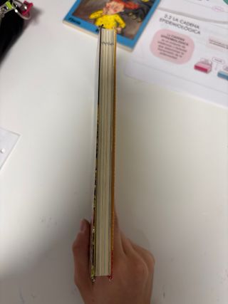 Hadas contra duendes (Tú decides la aventura)