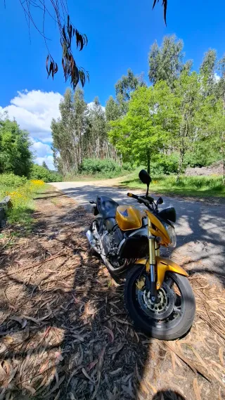 Honda Hornet 600 2008