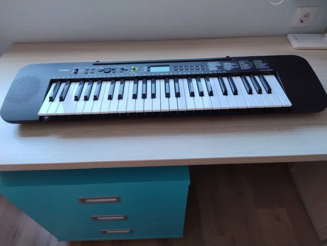 Teclado Electrónico Casio CTK-240