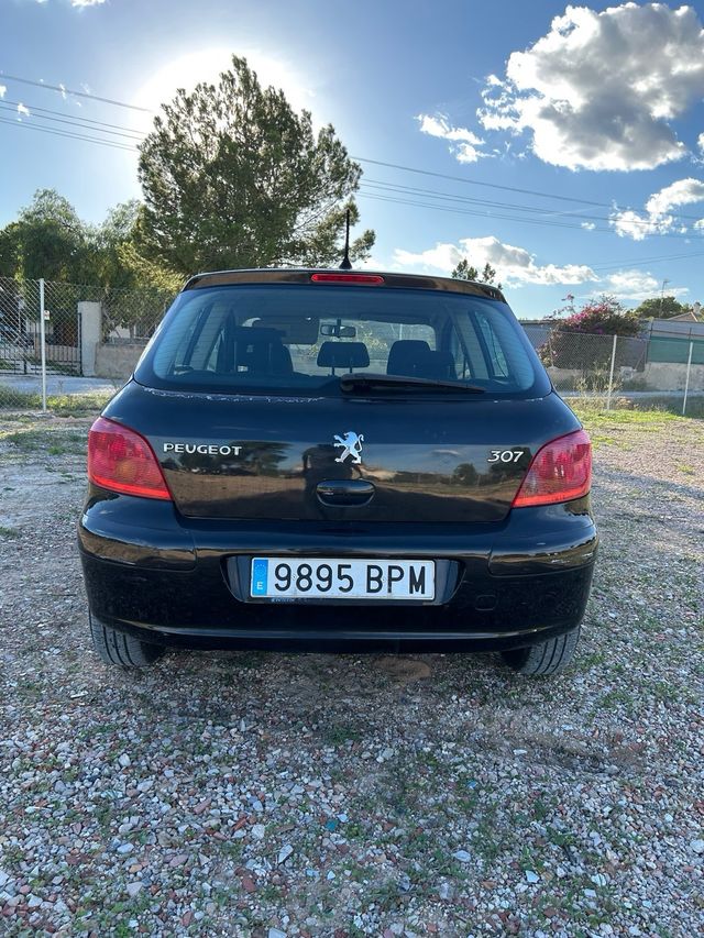 Peugeot 307 2001