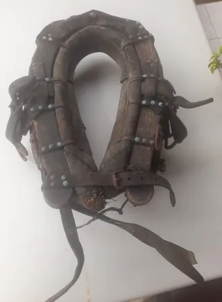 Colleron de Burro, antichi arrangiamenti di cavalleria