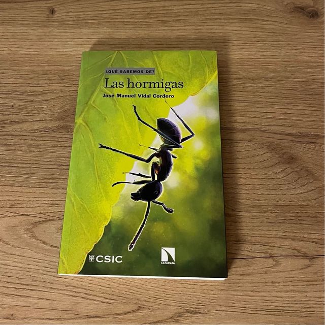 Las hormigas