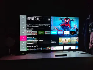 PLACAS Y TORNILLOS OLED 55C9MLB