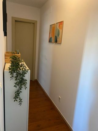 Alquiler piso Sevilla, corta estancia.