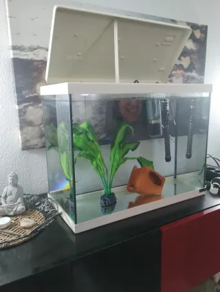 Acuario blanco y transparente