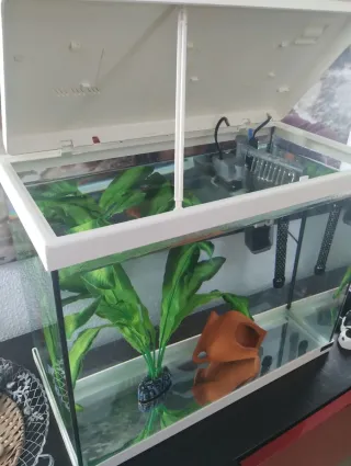 Acuario blanco y transparente