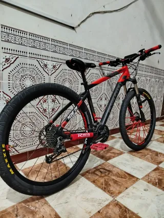 Bicicleta de montaña