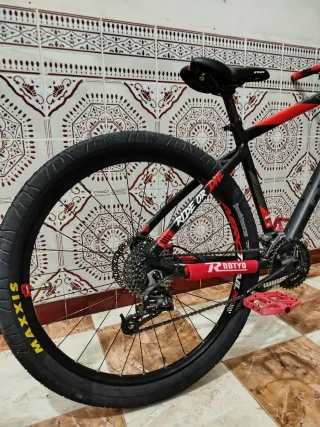 Bicicleta de montaña