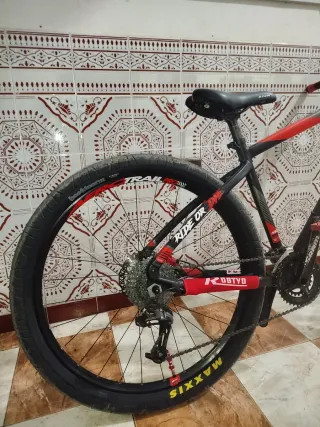 Bicicleta de montaña