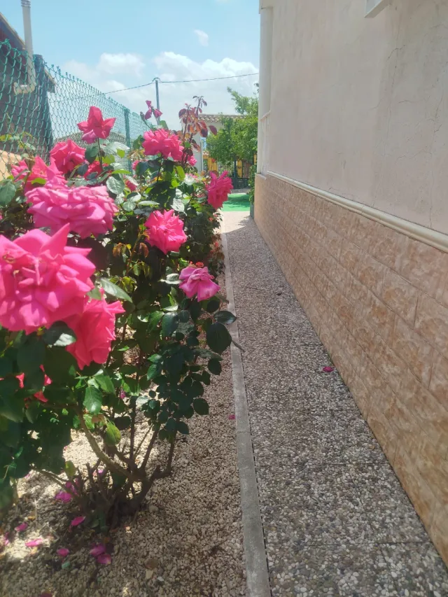 Casa de campo con jardín y barbacoa