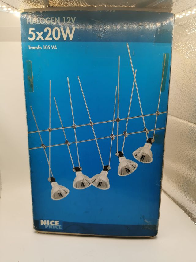 Kit 5 Focos Halógenos 12V 20W con Transformador