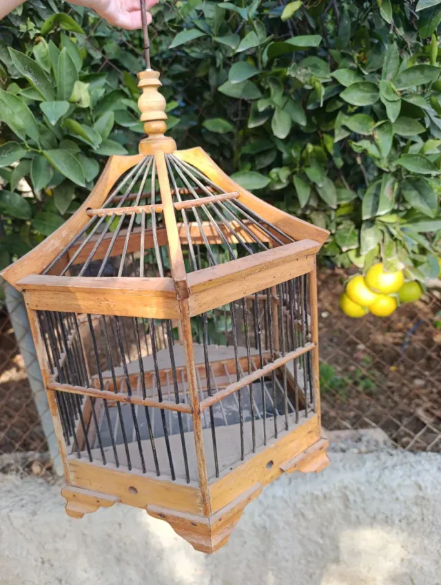 Jaula pájaros vintage madera
