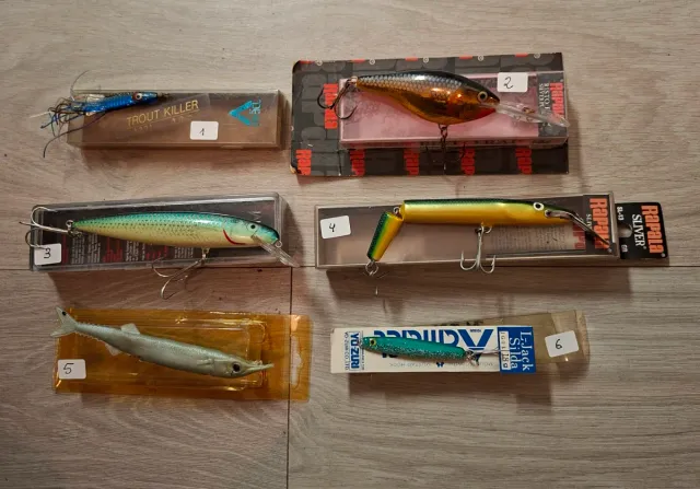 Peces varios
Ver peces