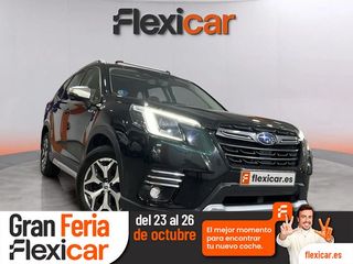 Subaru Forester 2.0i Hybrid CVT Executive Plus